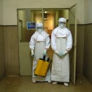 Ebola-like Marburg virus kills two in Uganda: official