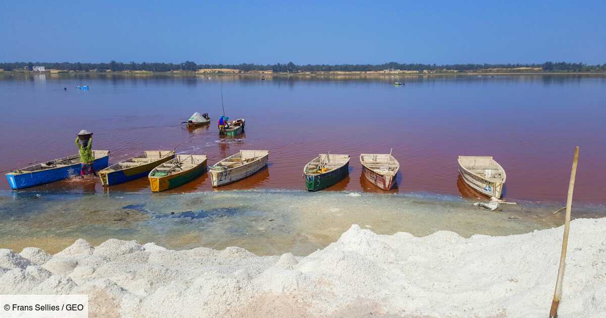 Vers des ‘’actions urgentes’’ pour la préservation du lac Rose