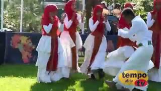 Tempo Afric TV - Little Africa Festival Part ONE